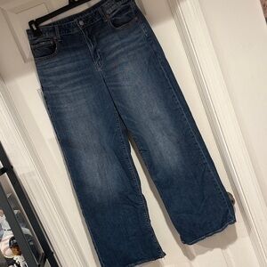 American Eagle Outfitters Low Rise Baggy Wide Leg 10 R